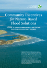 Community Incentives for Nature-Based Flood Solutions: A guide to FEMA’s community rating system for conservation practitioners image